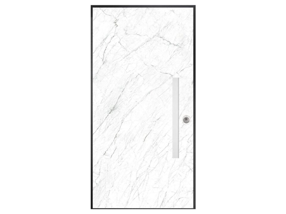 SECURITY DOORS
